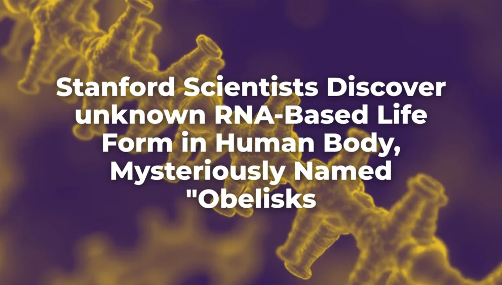 A New Form of Life Hidden Inside the Human Body: The Discovery of Obelisks Obelisks