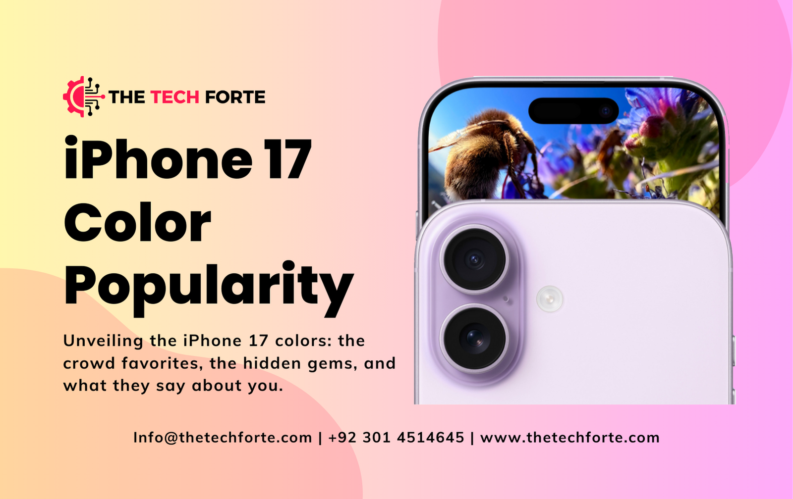 iPhone 17 Color Popularity