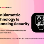 Predictive Analytics: How AI Forecasts the Future