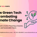 The Future of E-Commerce for Small Businesses