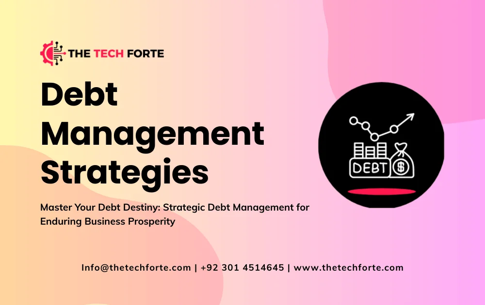 Debt Management Strategies for Businesses Explained